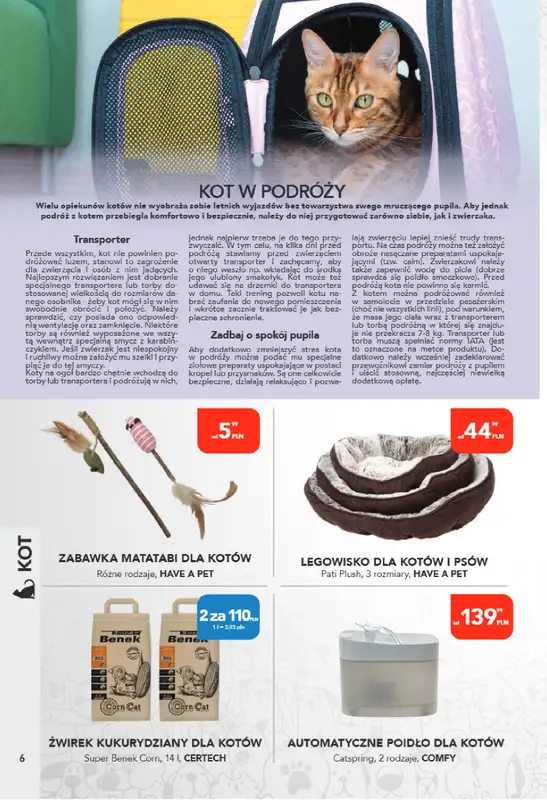 Aquael zoo - gazetka promocyjna Gazetka od poniedziałku 04.08 do niedzieli 31.08 - strona 6