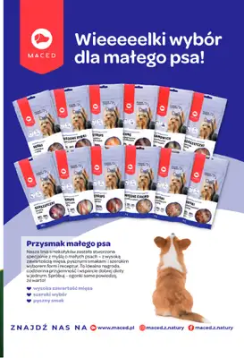 Aquael zoo - gazetka promocyjna Gazetka od poniedziałku 04.08 do niedzieli 31.08 - strona 11