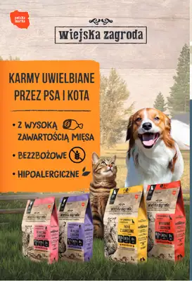 Aquael zoo - gazetka promocyjna Gazetka od poniedziałku 04.08 do niedzieli 31.08 - strona 12