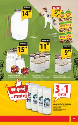 Arhelan - gazetka promocyjna Gazetka od poniedziałku 11.08 do niedzieli 24.08 - strona 17