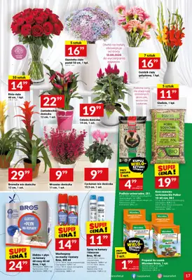 Twój Market - gazetka promocyjna Gazetka od środy 13.08 do wtorku 19.08 - strona 17