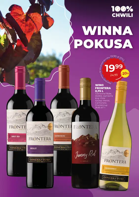 Duży Ben - gazetka promocyjna Gazetka od środy 13.08 do wtorku 09.09 - strona 6