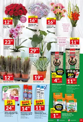 Twój Market - gazetka promocyjna Gazetka od środy 20.08 do wtorku 26.08 - strona 21