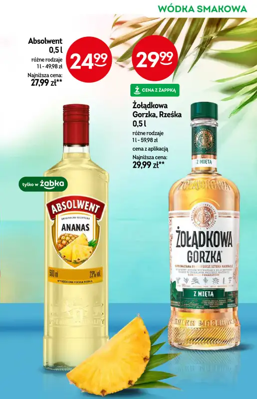 Żabka - gazetka promocyjna Katalog alkoholowy  do wtorku 02.09 - strona 11
