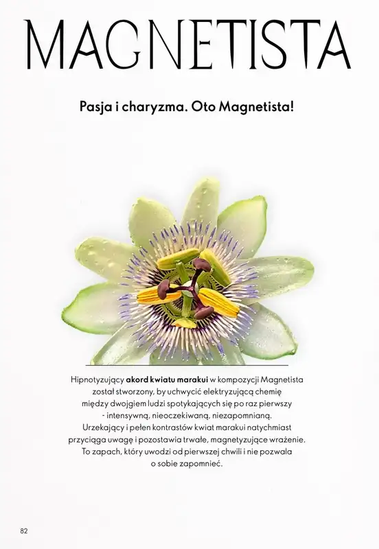 Oriflame - gazetka promocyjna Katalog 13/2025 od niedzieli 07.09 do wtorku 30.09 - strona 52