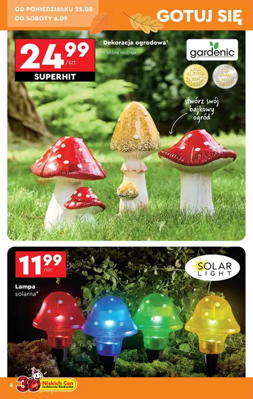 Biedronka - gazetka promocyjna Okazje tygodnia od 25.08 od poniedziałku 25.08 do środy 10.09 - strona 8