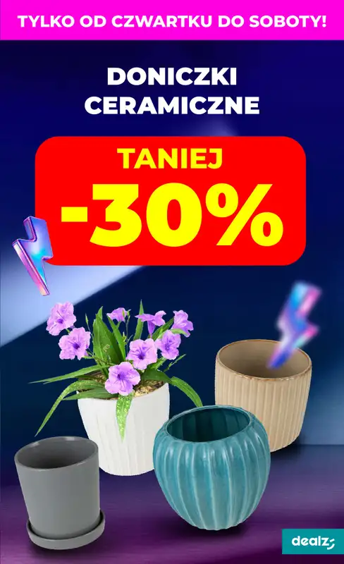 Dealz - gazetka promocyjna Make a Dealz! od czwartku 21.08 do środy 27.08 - strona 49
