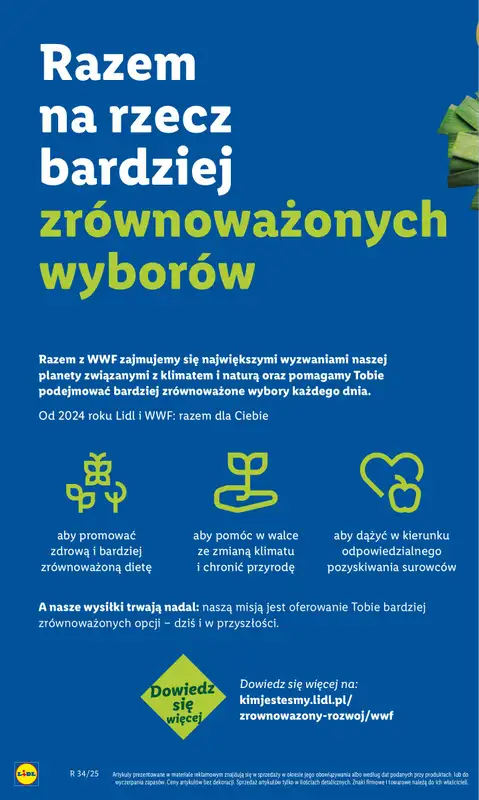 Lidl - gazetka promocyjna Katalog od poniedziałku 18.08 do soboty 23.08 - strona 53