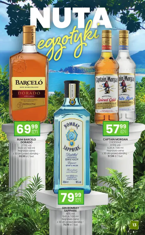 Twój Market - gazetka promocyjna Gazetka alkoholowa od wtorku 26.08 do poniedziałku 22.09 - strona 13