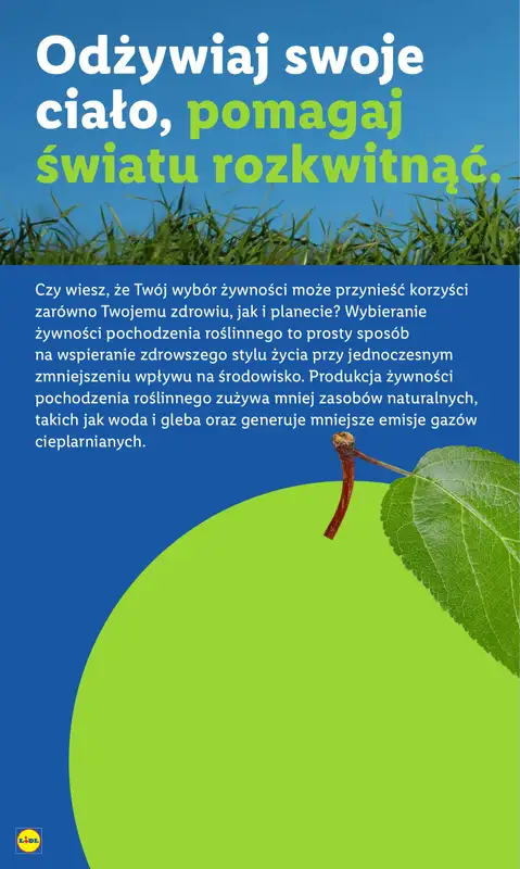 Lidl - gazetka promocyjna Oferta od czwartku od czwartku 28.08 do niedzieli 31.08 - strona 54