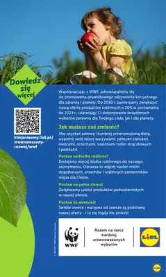 Lidl - gazetka promocyjna Oferta od czwartku od czwartku 28.08 do niedzieli 31.08 - strona 55