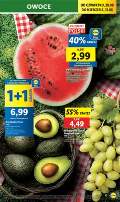 Lidl - gazetka promocyjna Oferta od czwartku od czwartku 28.08 do niedzieli 31.08 - strona 19