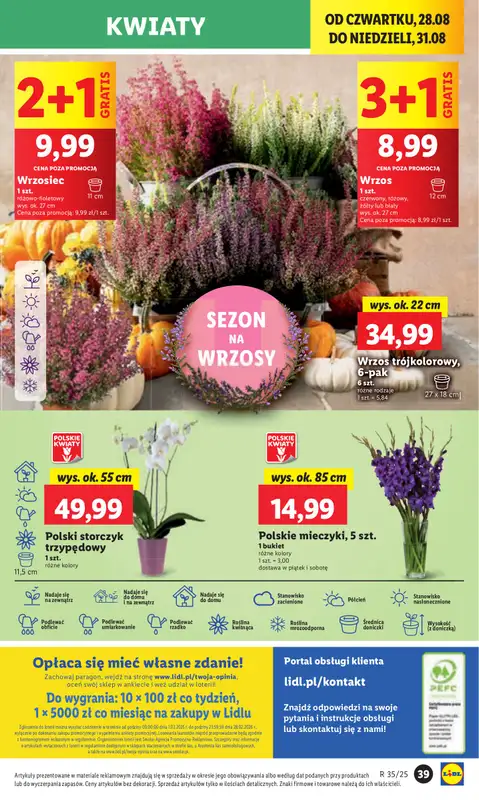 Lidl - gazetka promocyjna Oferta od czwartku od czwartku 28.08 do niedzieli 31.08 - strona 43