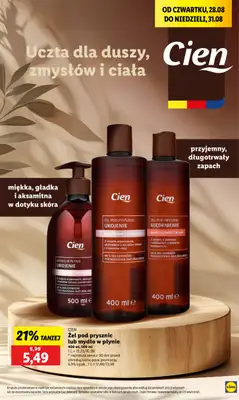 Lidl - gazetka promocyjna Oferta od czwartku od czwartku 28.08 do niedzieli 31.08 - strona 49