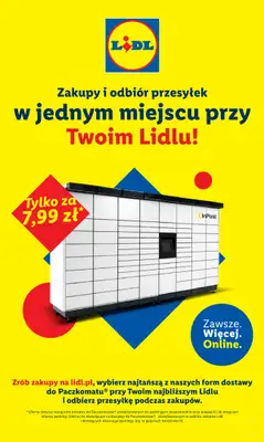 Lidl - gazetka promocyjna Katalog od poniedziałku 25.08 do niedzieli 31.08 - strona 17