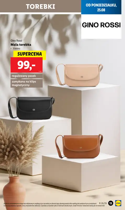 Lidl - gazetka promocyjna Katalog od poniedziałku 25.08 do niedzieli 31.08 - strona 13