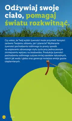 Lidl - gazetka promocyjna Katalog od poniedziałku 25.08 do niedzieli 31.08 - strona 58