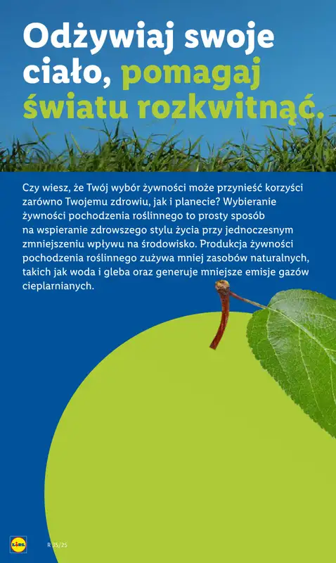 Lidl - gazetka promocyjna Katalog od poniedziałku 25.08 do niedzieli 31.08 - strona 58