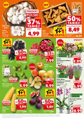 Kaufland - gazetka promocyjna Mocny Start od poniedziałku 01.09 do środy 03.09 - strona 13 Kaufland - gazetka promocyjna Mocny Start od poniedziałku 01.09 do środy 03.09 - strona 13