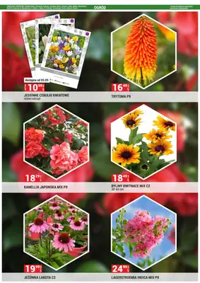 Merkury Market - gazetka promocyjna Gazetka od poniedziałku 01.09 do wtorku 30.09 - strona 40