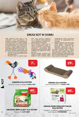 Aquael zoo - gazetka promocyjna Gazetka od poniedziałku 01.09 do wtorku 30.09 - strona 6