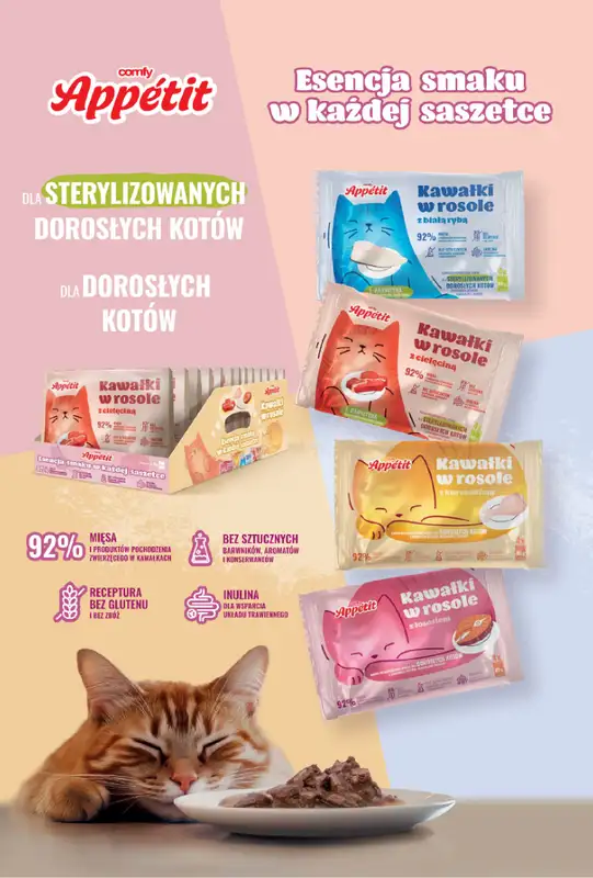 Aquael zoo - gazetka promocyjna Gazetka od poniedziałku 01.09 do wtorku 30.09 - strona 2