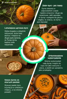 Lidl - gazetka promocyjna Magazyn Parkside  do soboty 11.10 - strona 9