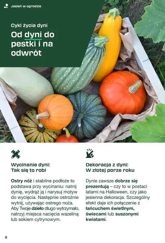 Lidl - gazetka promocyjna Magazyn Parkside  do soboty 11.10 - strona 8