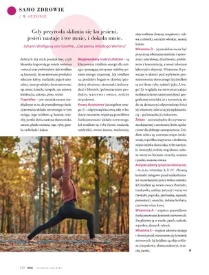 Hebe - gazetka promocyjna Magazyn Kolorami jesień się zaczyna od wtorku 02.09 do piątku 31.10 - strona 120 Hebe - gazetka promocyjna Magazyn Kolorami jesień się zaczyna od wtorku 02.09 do piątku 31.10 - strona 120