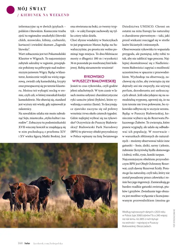 Hebe - gazetka promocyjna Magazyn Kolorami jesień się zaczyna od wtorku 02.09 do piątku 31.10 - strona 160