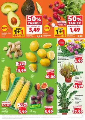 Kaufland - gazetka promocyjna Oferta Kaufland  do środy 10.09 - strona 19