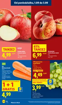 Lidl - gazetka promocyjna Oferta od poniedziałku od poniedziałku 01.09 do środy 03.09 - strona 20