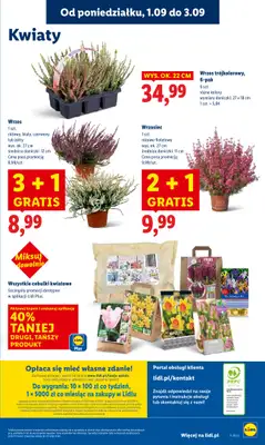 Lidl - gazetka promocyjna Oferta od poniedziałku od poniedziałku 01.09 do środy 03.09 - strona 57