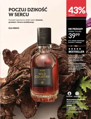 AVON - gazetka promocyjna Katalog Wrzesień 2025 od wtorku 02.09 do wtorku 30.09 - strona 117