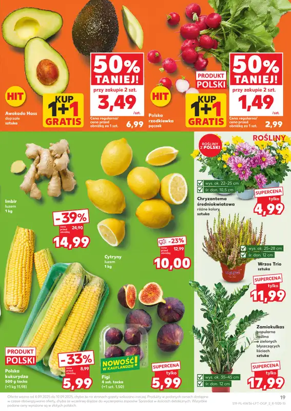 Kaufland - gazetka promocyjna Oferta Kaufland od czwartku 04.09 do środy 10.09 - strona 19