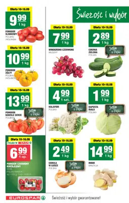 SPAR - gazetka promocyjna Gazetka Eurospar od środy 10.09 do niedzieli 21.09 - strona 2