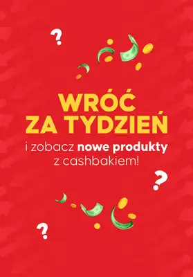 Kasa wraca - gazetka promocyjna Kupuj produkty i odbieraj zwroty od poniedziałku 08.09 do niedzieli 14.09 - strona 14