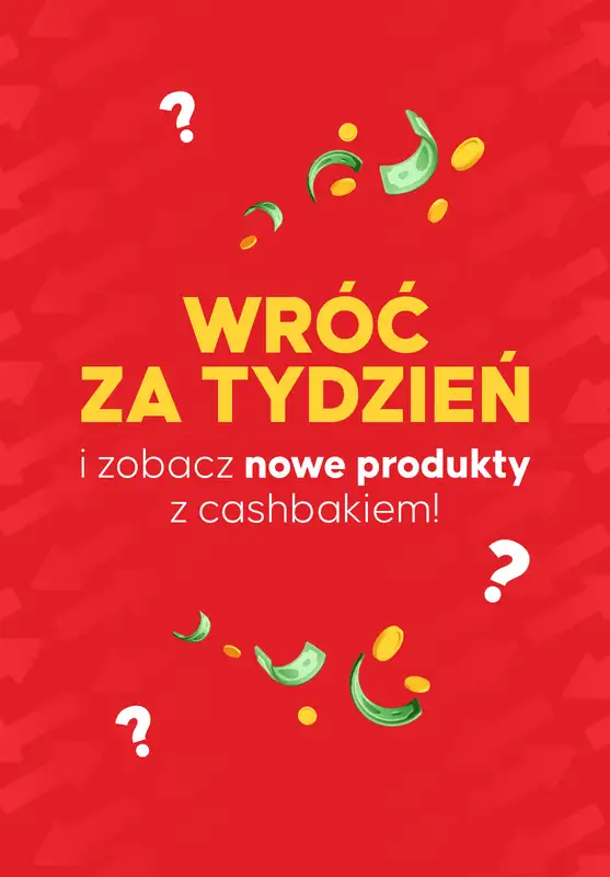 Kasa wraca - gazetka promocyjna Kupuj produkty i odbieraj zwroty od poniedziałku 08.09 do niedzieli 14.09 - strona 14