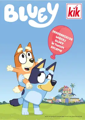 KiK - gazetka promocyjna Gazetka od poniedziałku 08.09 do niedzieli 14.09 - strona 4