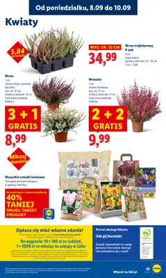 Lidl - gazetka promocyjna Oferta od poniedziałku od poniedziałku 08.09 do środy 10.09 - strona 61 Lidl - gazetka promocyjna Oferta od poniedziałku od poniedziałku 08.09 do środy 10.09 - strona 61