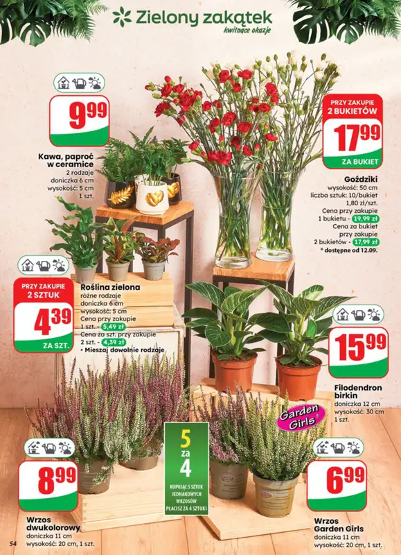 Dino - gazetka promocyjna Gazetka od środy 10.09 do wtorku 16.09 - strona 54