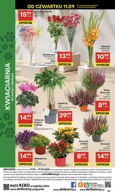 Delikatesy Centrum - gazetka promocyjna Gazetka  do środy 17.09 - strona 52