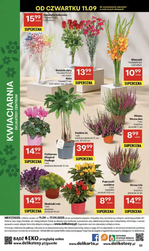 Delikatesy Centrum - gazetka promocyjna Gazetka  do środy 17.09 - strona 52