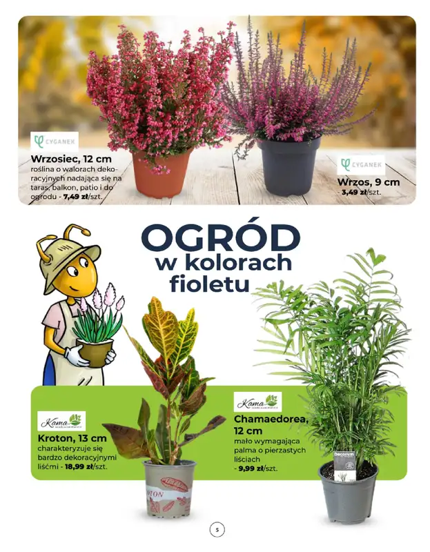 PSB Mrówka - gazetka promocyjna Gazetka od czwartku 11.09 do soboty 20.09 - strona 5