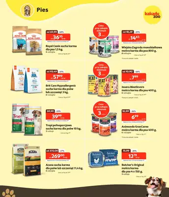 KAKADU - gazetka promocyjna Gazetka od czwartku 11.09 do środy 24.09 - strona 3