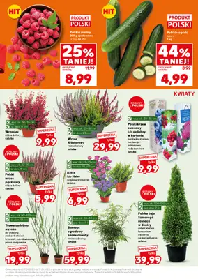 Kaufland - gazetka promocyjna Mocny Start od poniedziałku 15.09 do środy 17.09 - strona 13