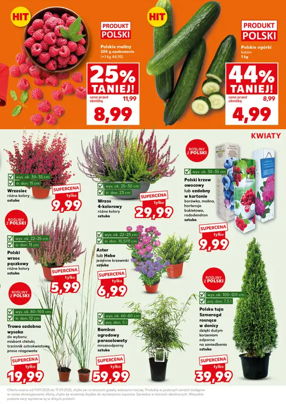 Kaufland - gazetka promocyjna Mocny Start od poniedziałku 15.09 do środy 17.09 - strona 13