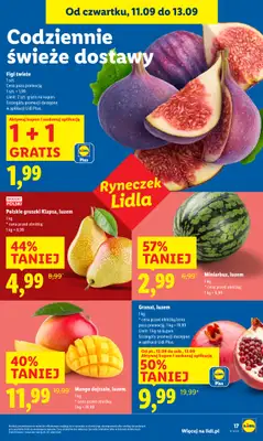 Lidl - gazetka promocyjna Oferta od czwartku od czwartku 11.09 do soboty 13.09 - strona 19