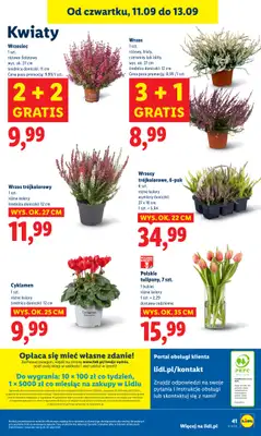 Lidl - gazetka promocyjna Oferta od czwartku od czwartku 11.09 do soboty 13.09 - strona 47