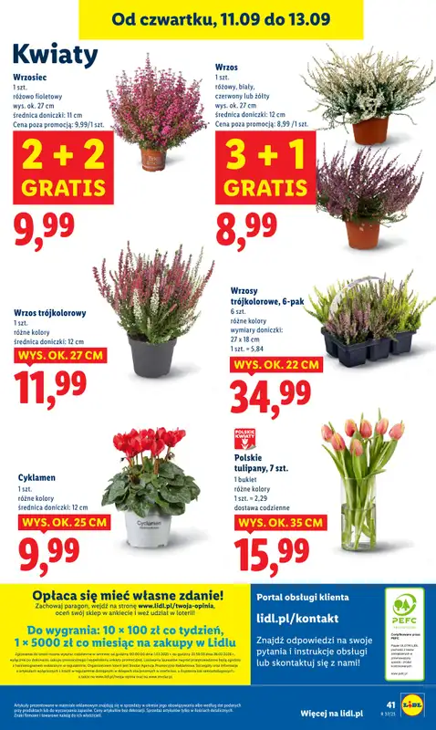 Lidl - gazetka promocyjna Oferta od czwartku od czwartku 11.09 do soboty 13.09 - strona 47
